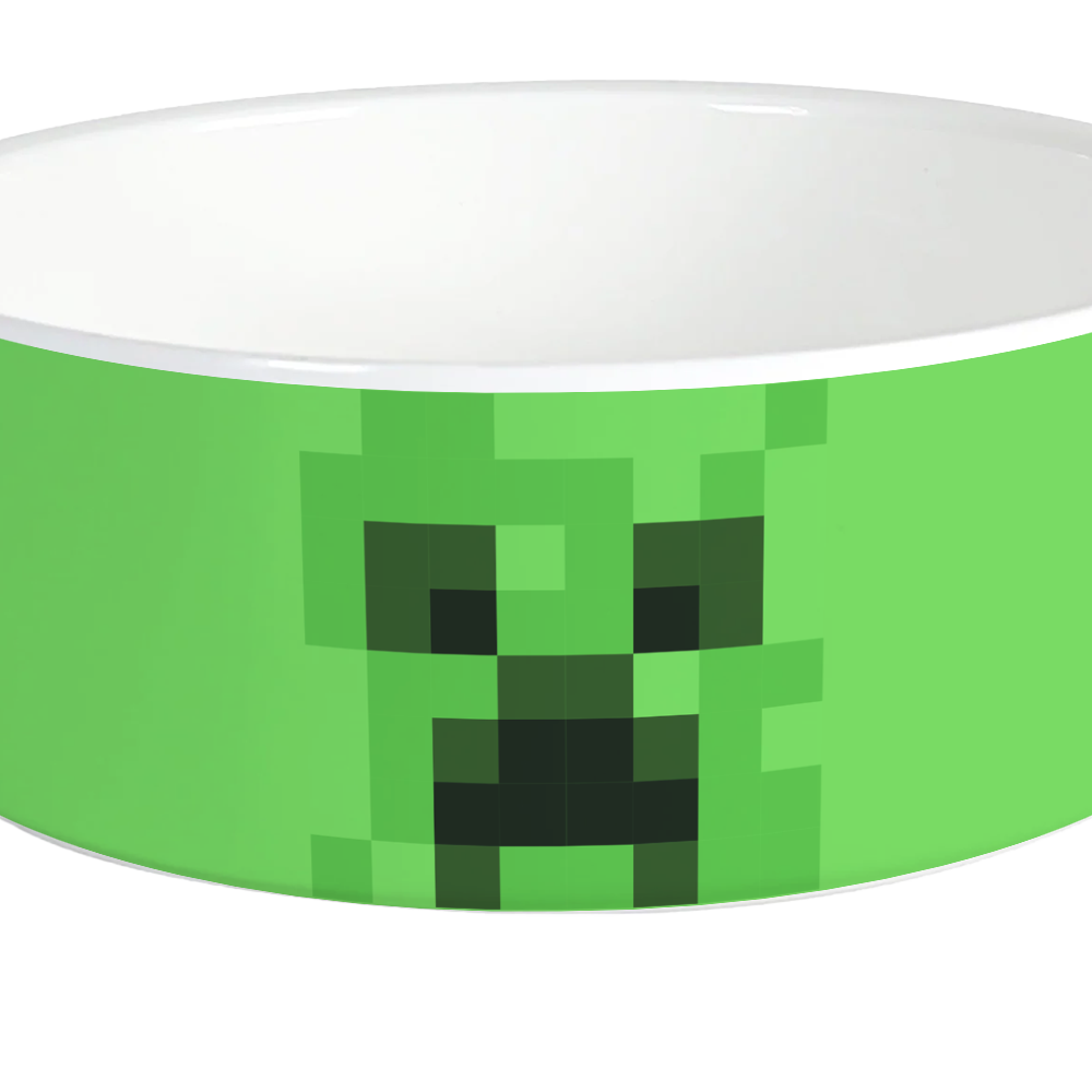 Alternative view of Minecraft Creeper Big Face Personalized Pet Bowl
