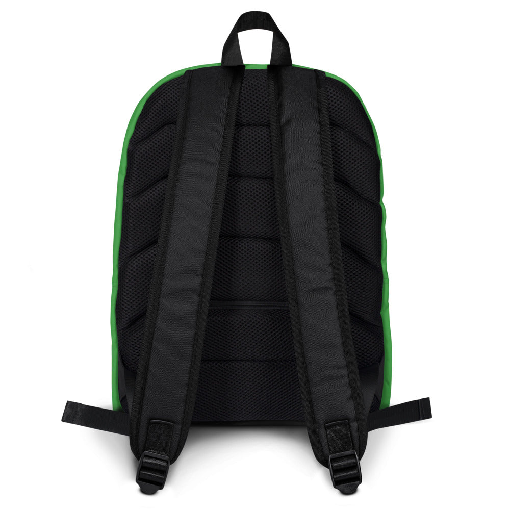 Alternative view of Minecraft Creeper Big Face Backpack