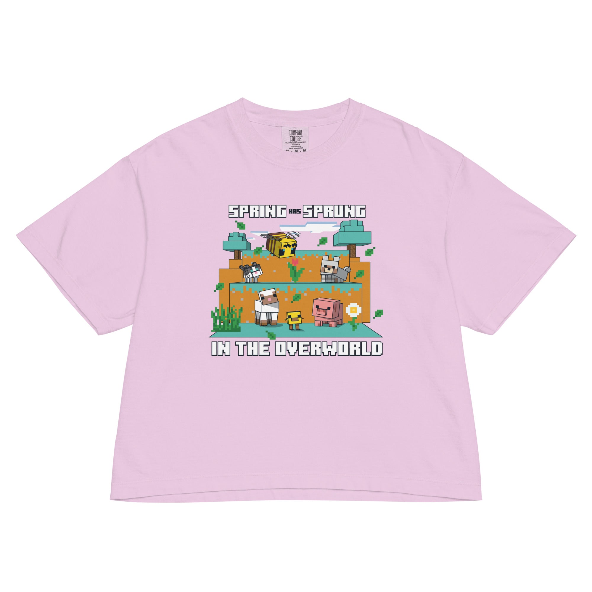 Minecraft Women's Boxy T-Shirt Spring has Sprung